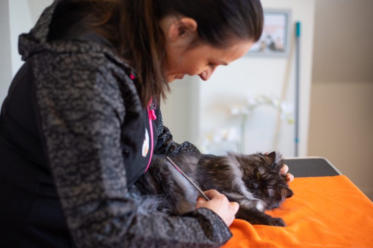 Kattentrimmer ‘Perfecte kat’ op de foto